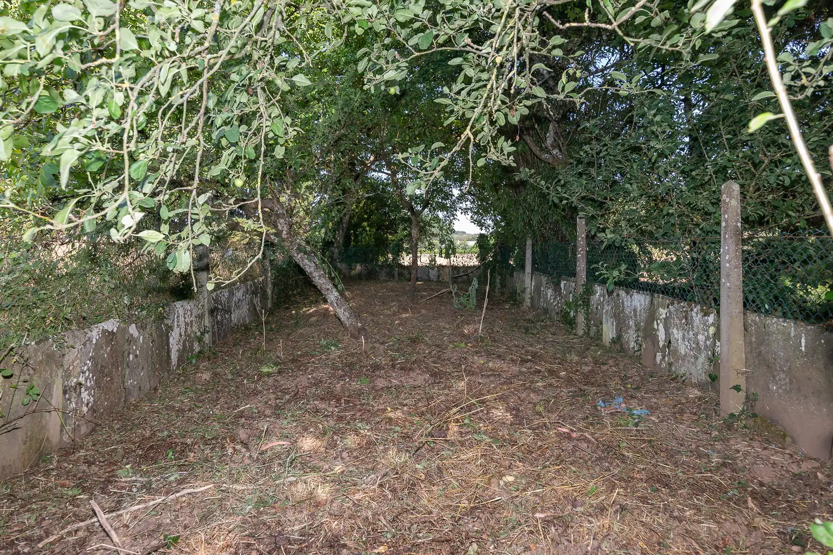 Casa rústica en venda a Rábade, imagen 25