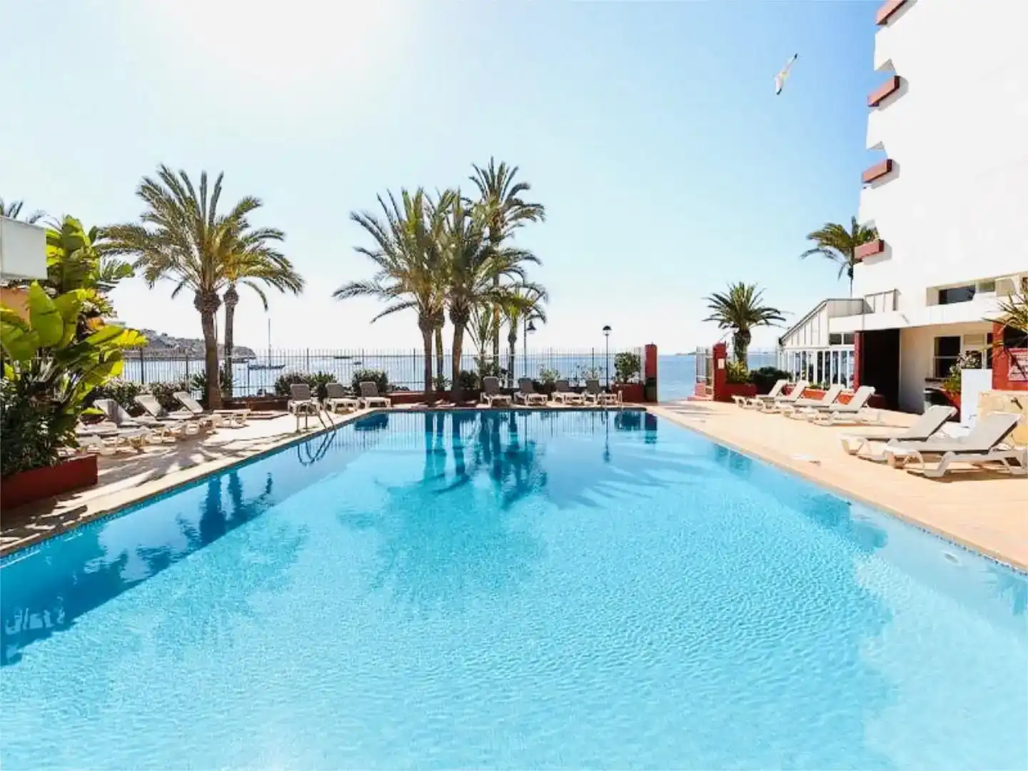Swimming pool of Flat for rent in Eivissa  with Air Conditioner, Swimming Pool and Balcony