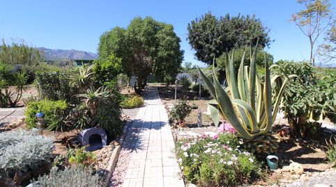 Foto 4 de Casa o chalet en venta en Buenavista - Lauro Golf, Alhaurín de la Torre