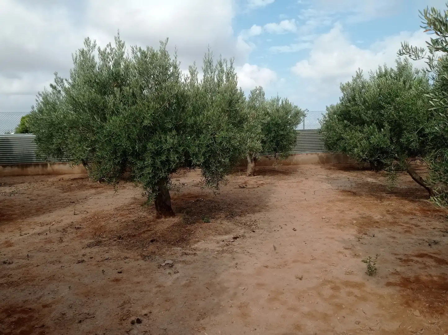 Finca rústica en venta en Fuente Álamo de Murcia con Calefacción, Jardín privado y Piscina