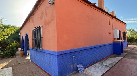 Foto 3 de Finca rústica en venda a Pilas, Sevilla
