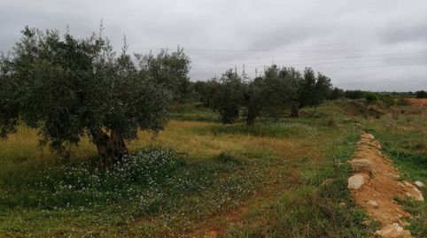 Terreno en venta en Hellín, Bild 3