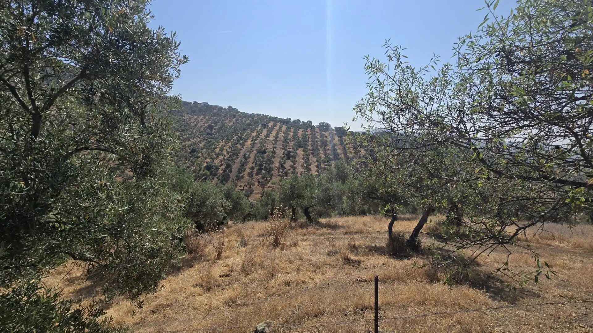 Finca rústica en venta en Pozoblanco