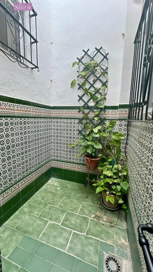 Jardín de Casa o chalet en venta en Conil de la Frontera