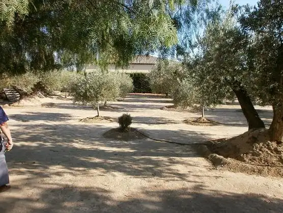 Xalet amb jardí en venda a Tobarra, imagen 18