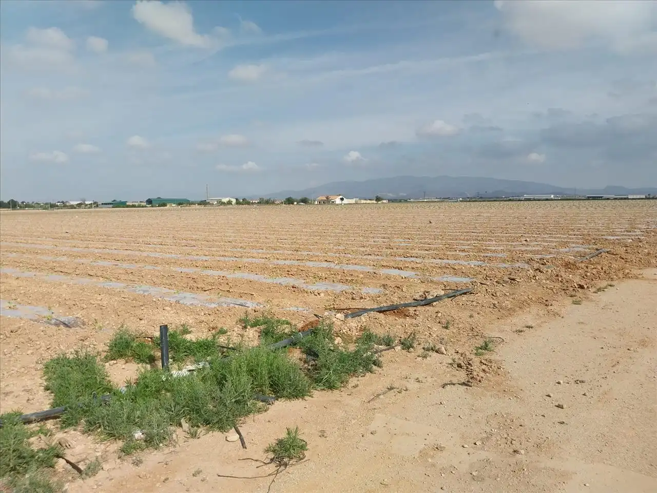 Residential zum Verkauf in Fuente Álamo de Murcia, Murcia