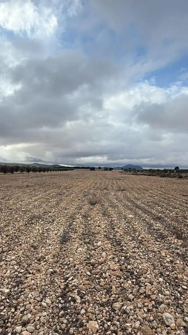 Terrenys i solars en venda a Yecla, imagen 5