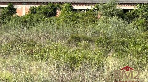 Photo 4 of Houses for sale in Cervera del Maestre, Castellón