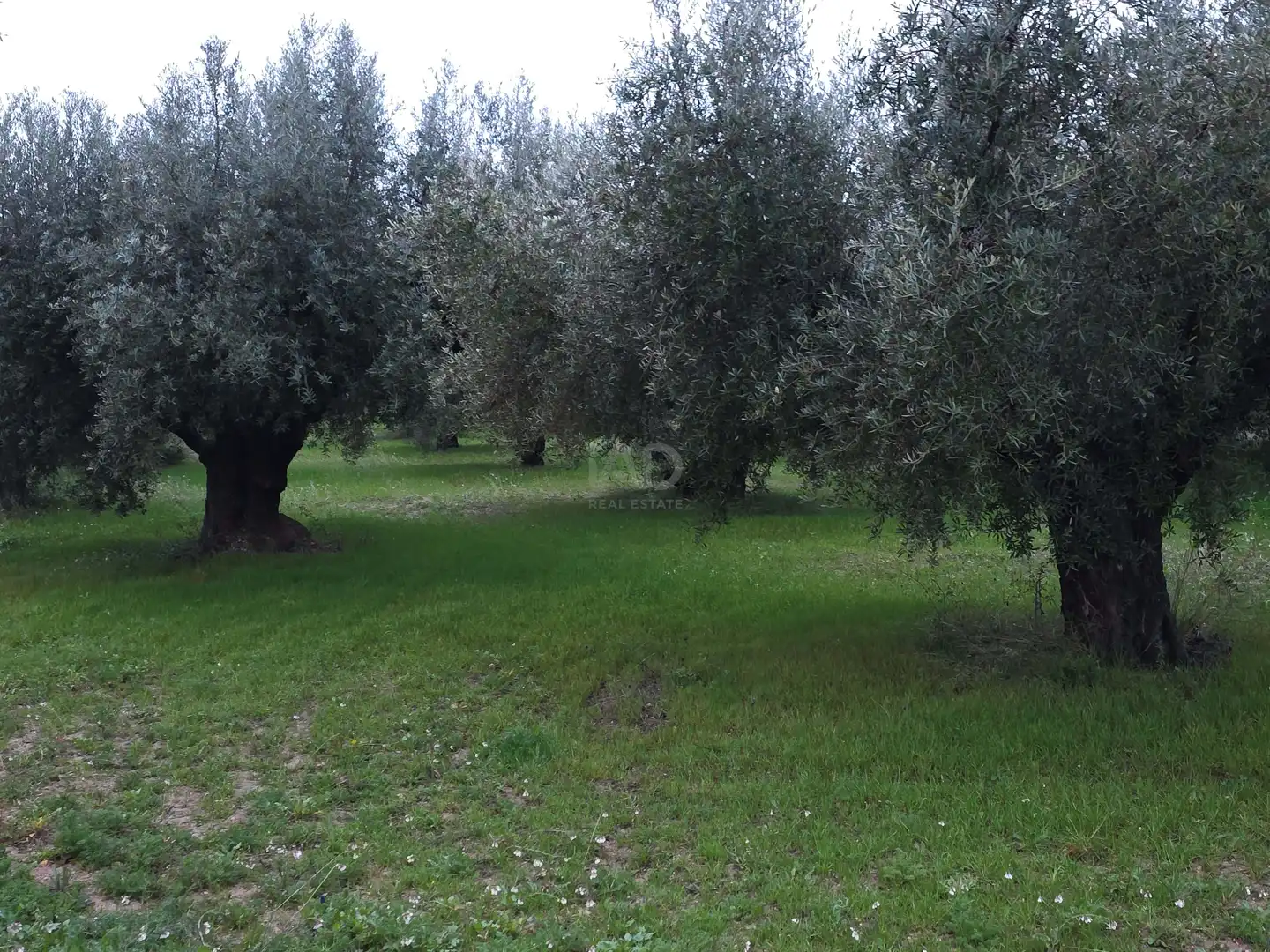 Finca rústica en venta en Moratalla con Aire acondicionado, Terraza y Piscina