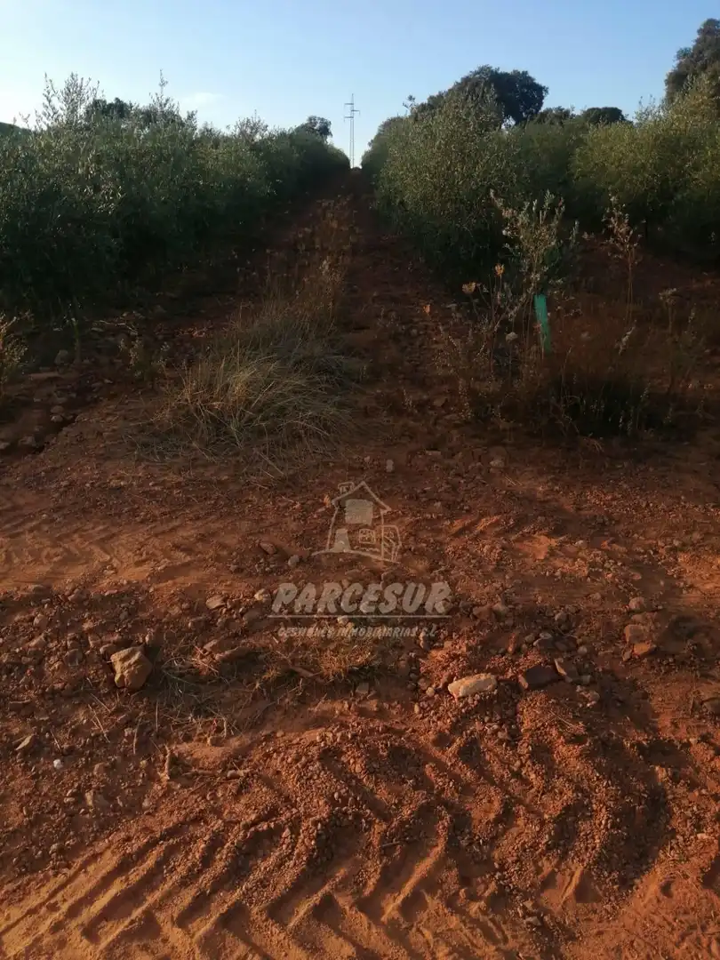 Finca rústica en venda en La Granjuela