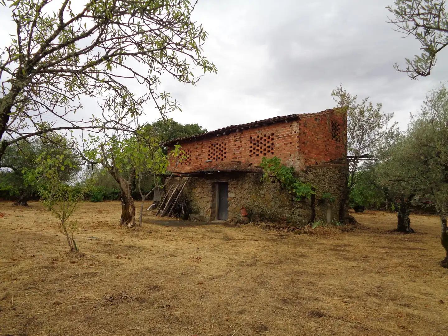 Residential for sale in Carretera de Pasaron, Tejeda de Tiétar