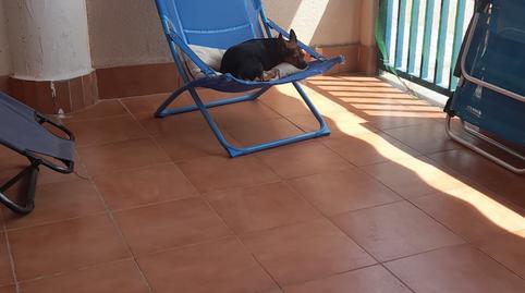 Foto 3 de Planta baixa en venda a N/a, Bahia, Murcia