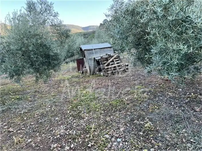 Terreni e lotti in vendita a Alcaudete, imagen 6