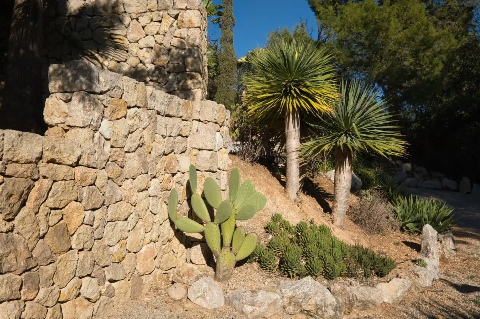 Maison avec terrasse à vendre à Santa María del Camí - Camino Camí des Raiguer, imagen 47