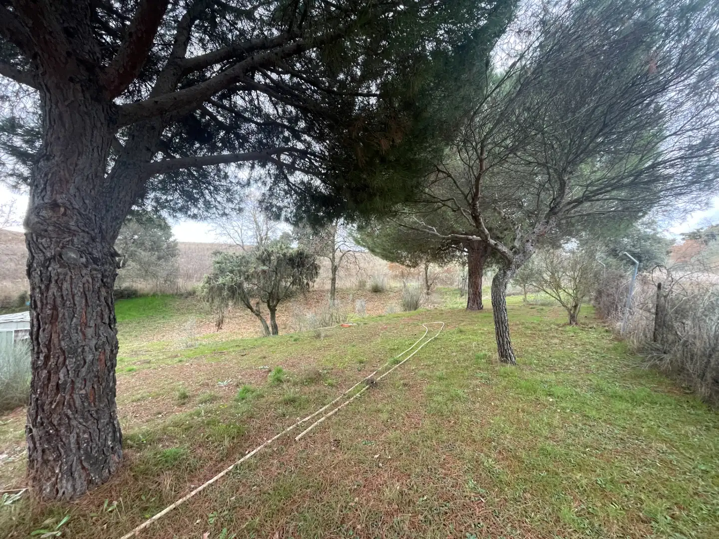 Residencial en venta en Uceda