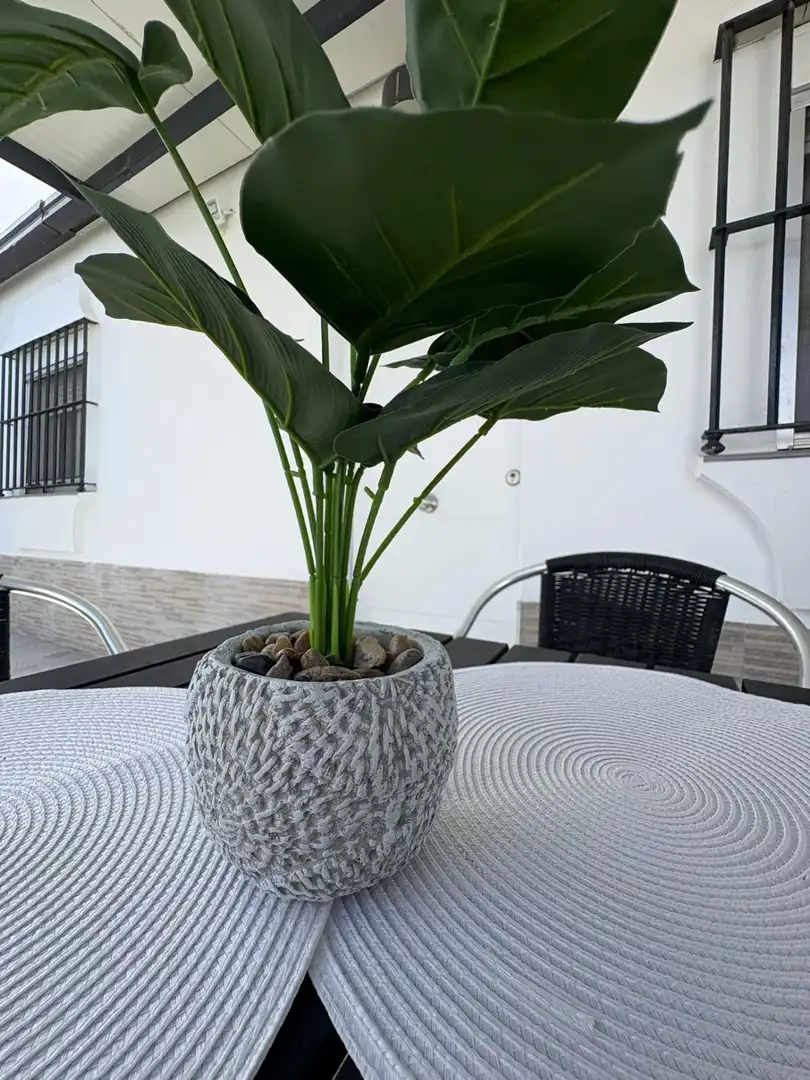 Terrassa de Casa o xalet de lloguer en Chiclana de la Frontera amb Aire condicionat, Jardí privat i Moblat