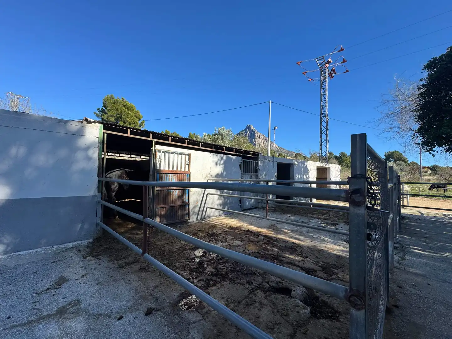 Landhaus zum Verkauf in Partida Partida l'Atzubia, imagen 70