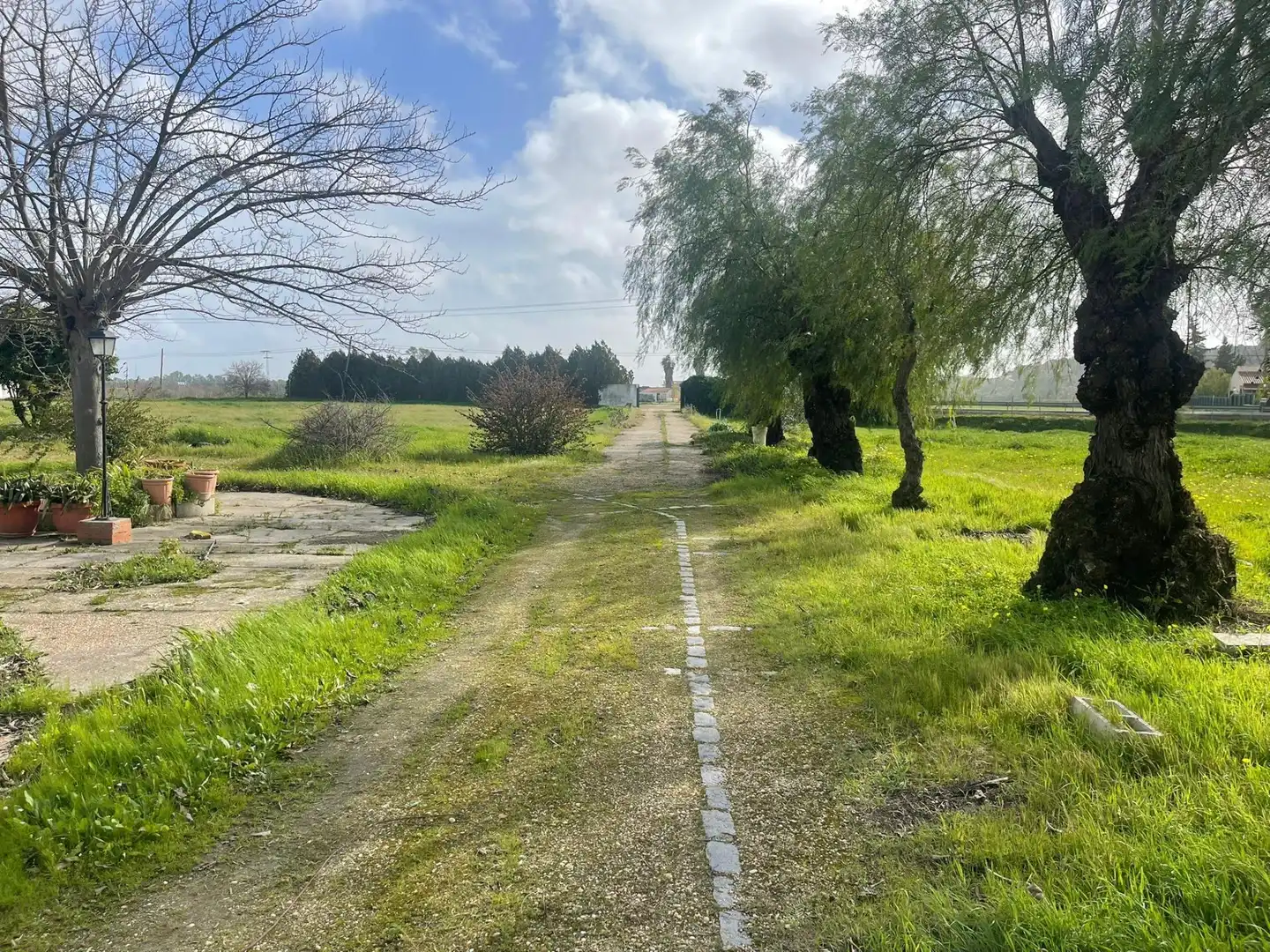 Finca rústica en venda a Gibraleón