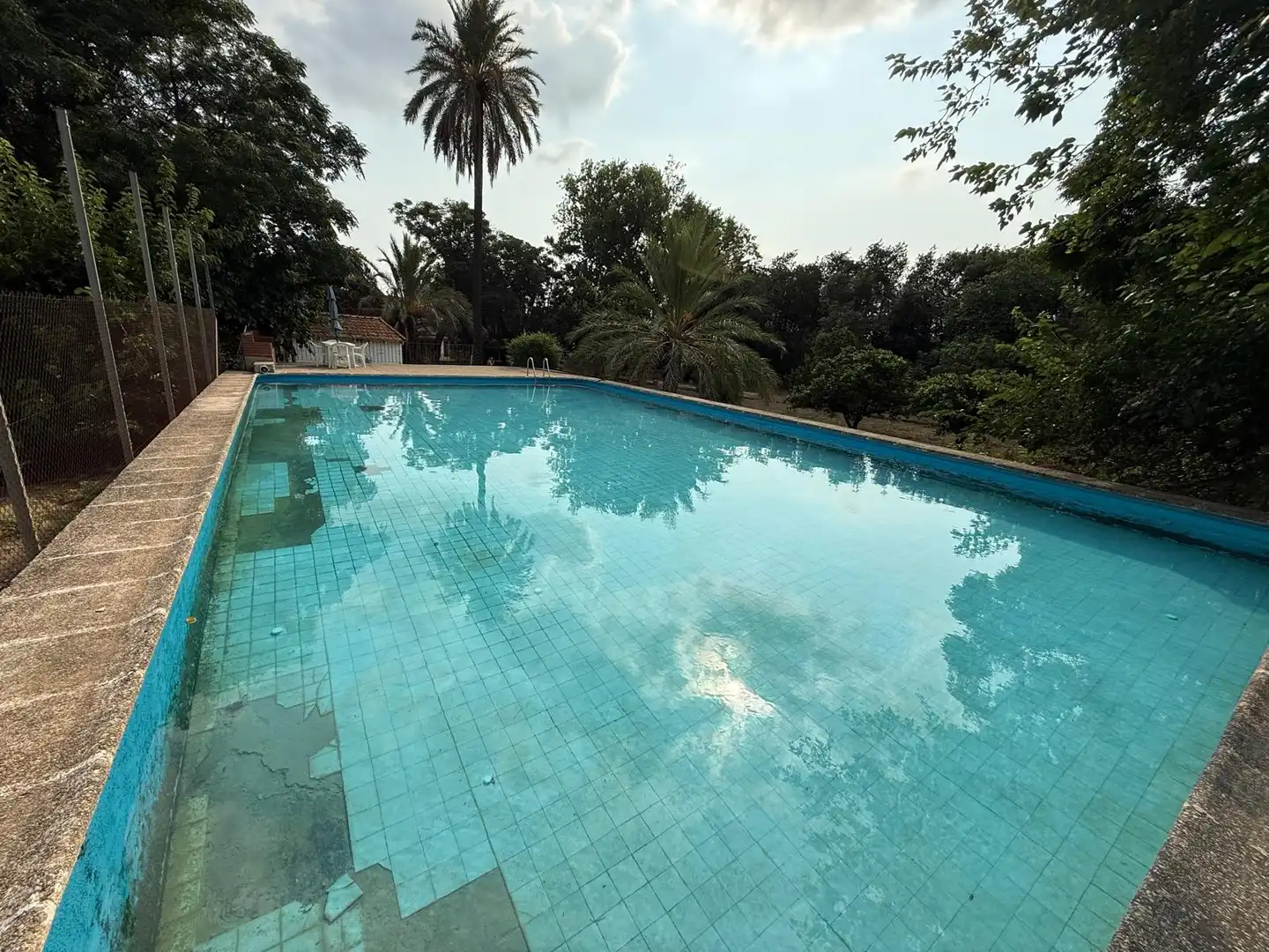 Swimming pool of Country homes for sale in Ondara  with Private garden, Terrace and Swimming Pool