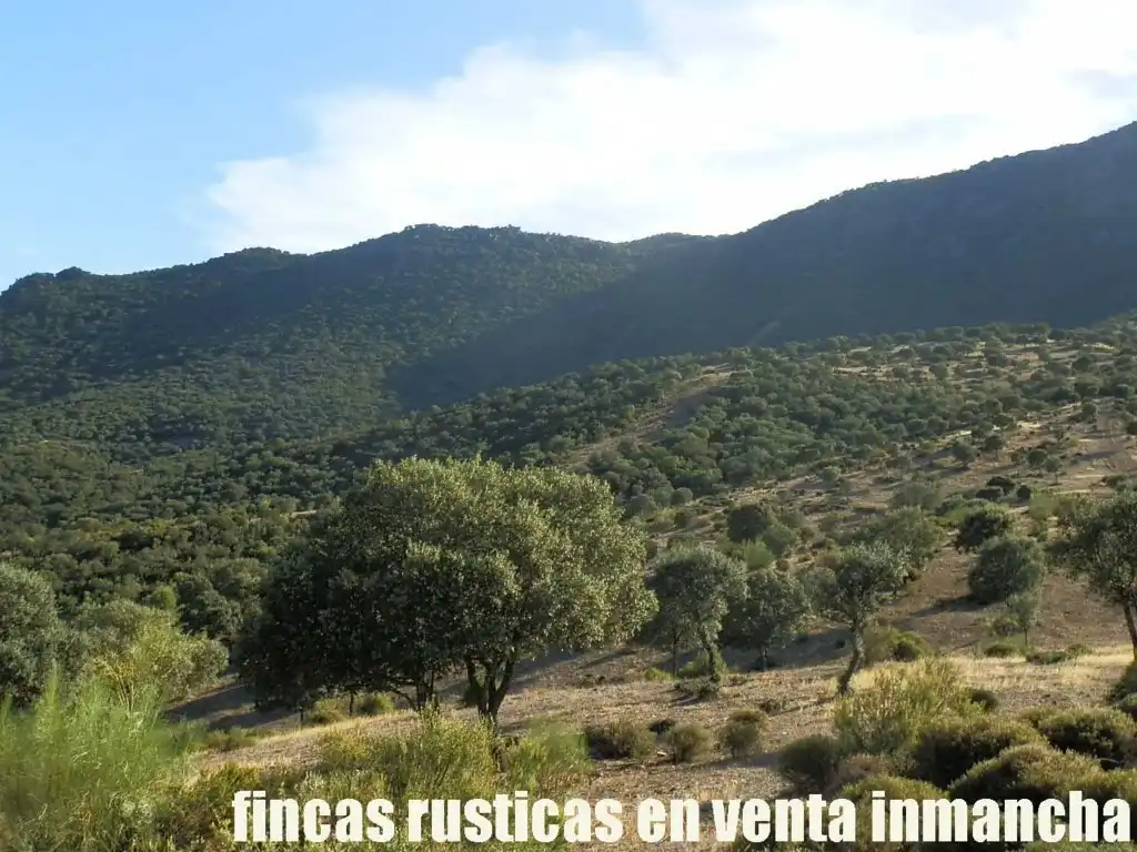 Rustikales Grundstück zum Verkauf in Avenida Ciudad Real Pol N 7, imagen 8