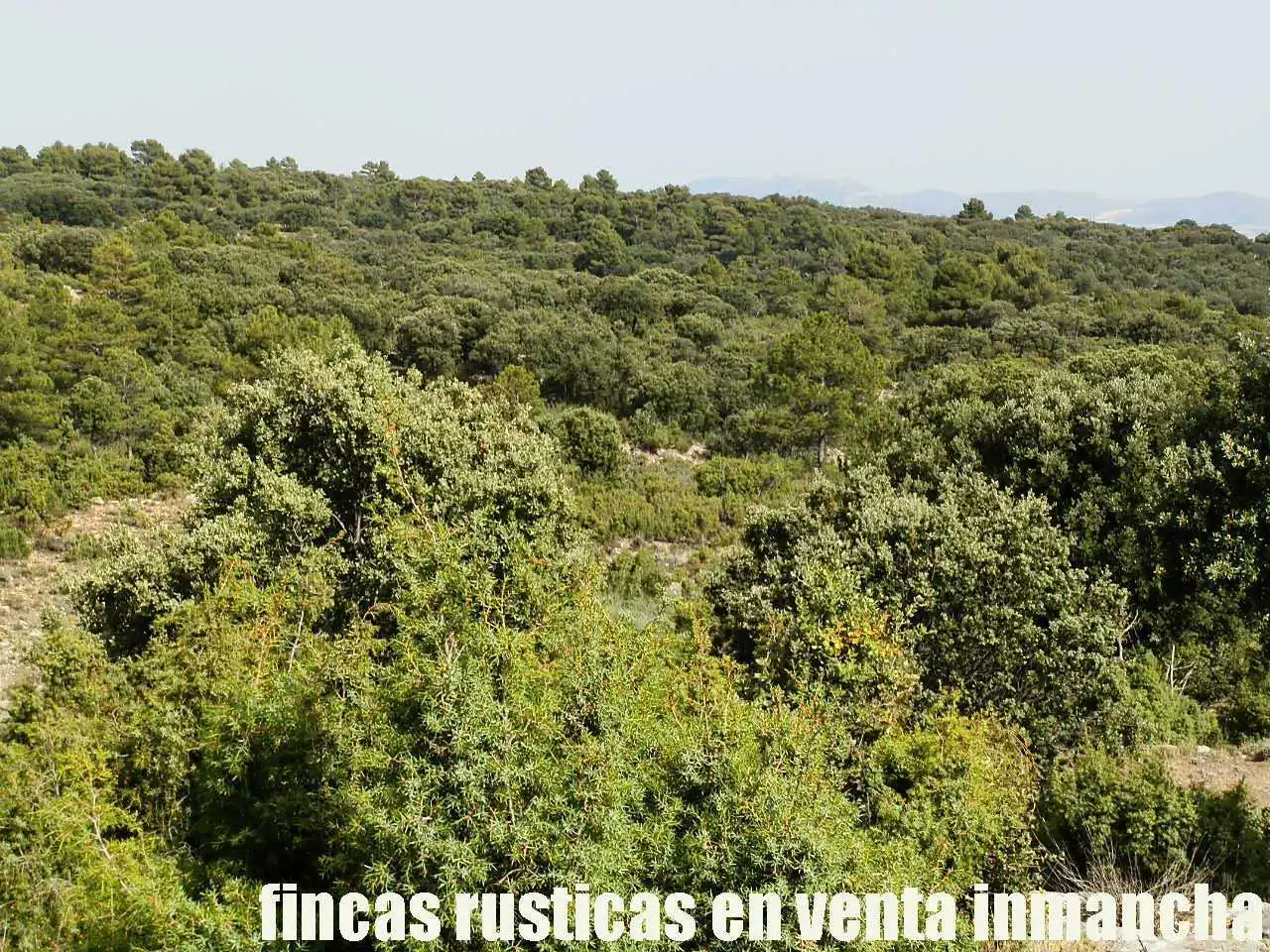 Terreno rustico in vendita a Caravaca de la Cruz, imagen 6