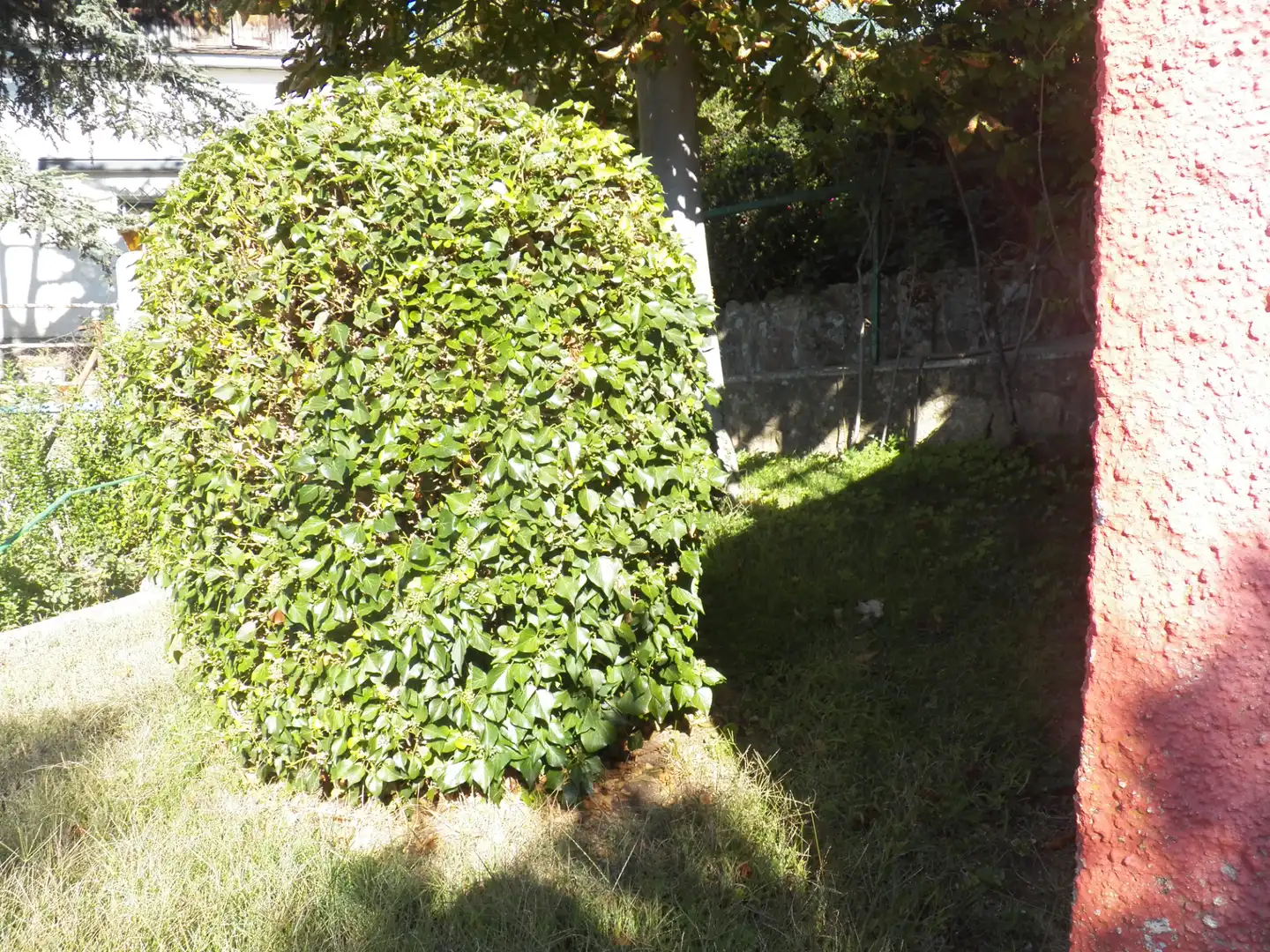 Garden of Detached homes for sale in Miraflores de la Sierra  with Private garden and Swimming Pool