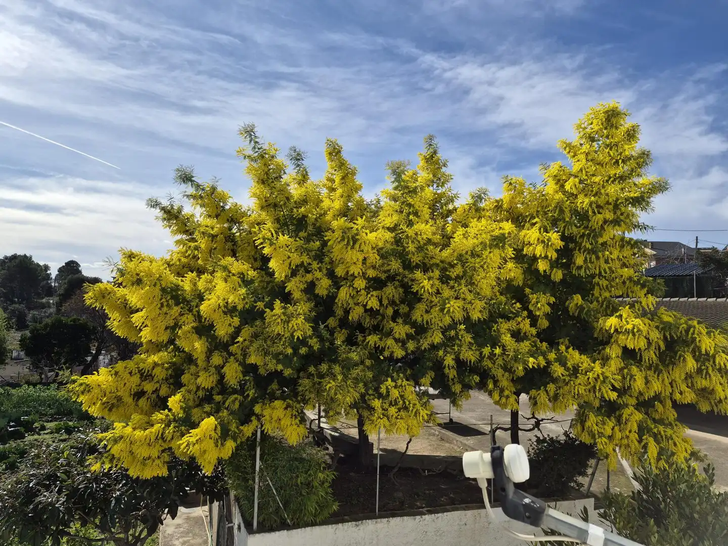 Jardín de Casa o chalet en venta en Lliçà d'Amunt con Calefacción y Jardín privado