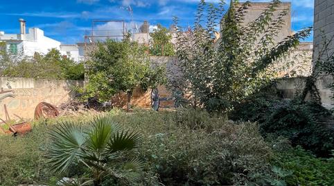 Photo 5 of House or chalet for sale in Carrer de Son Corcó, Consell, Illes Balears