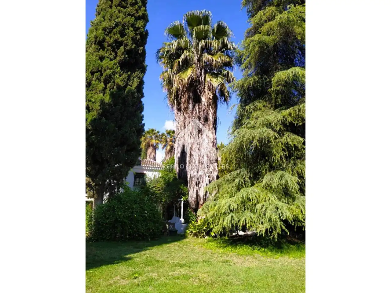 Garden of Country homes for sale in Loja  with Heating, Private garden and Swimming Pool
