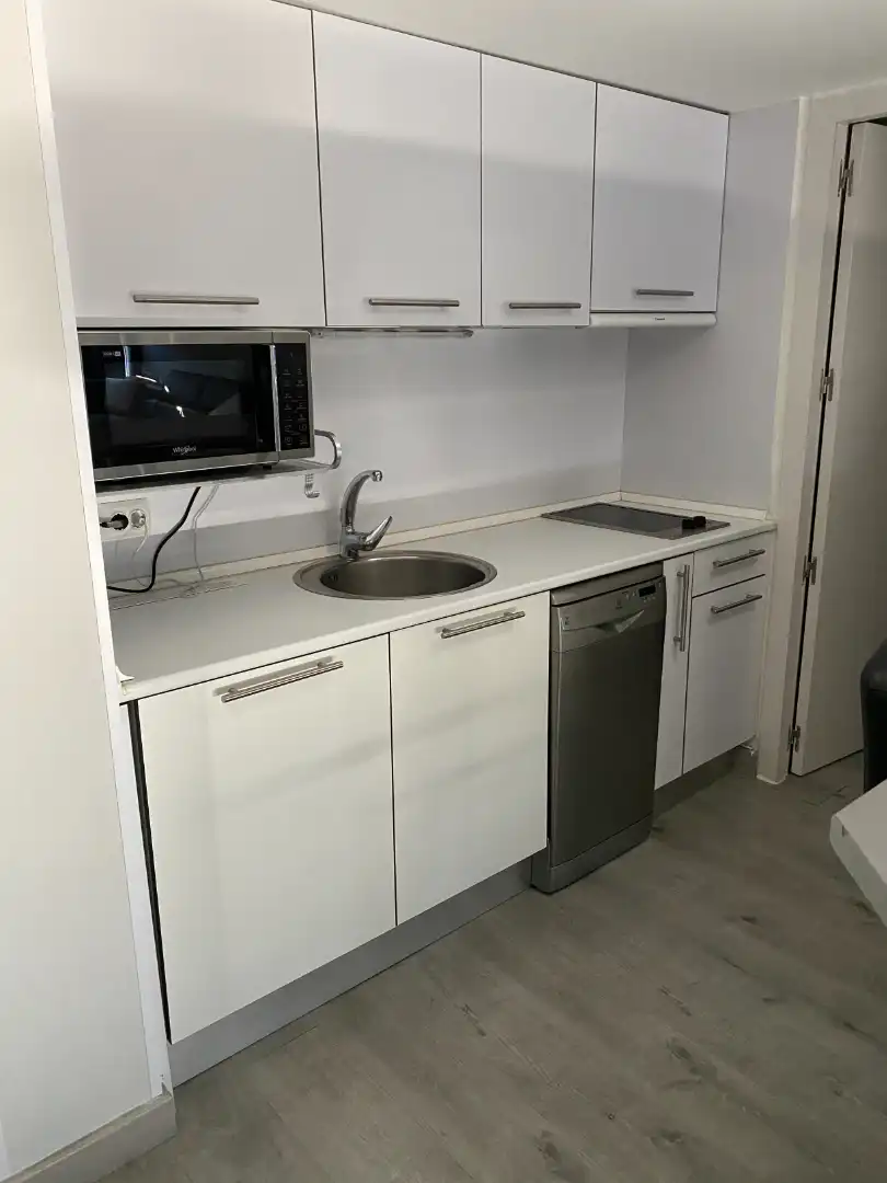 Loft con ascensor en alquiler en Reyes Católicos, imagen 8