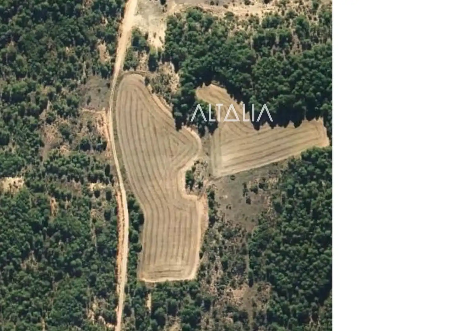 Land for sale in Arcos de la Sierra