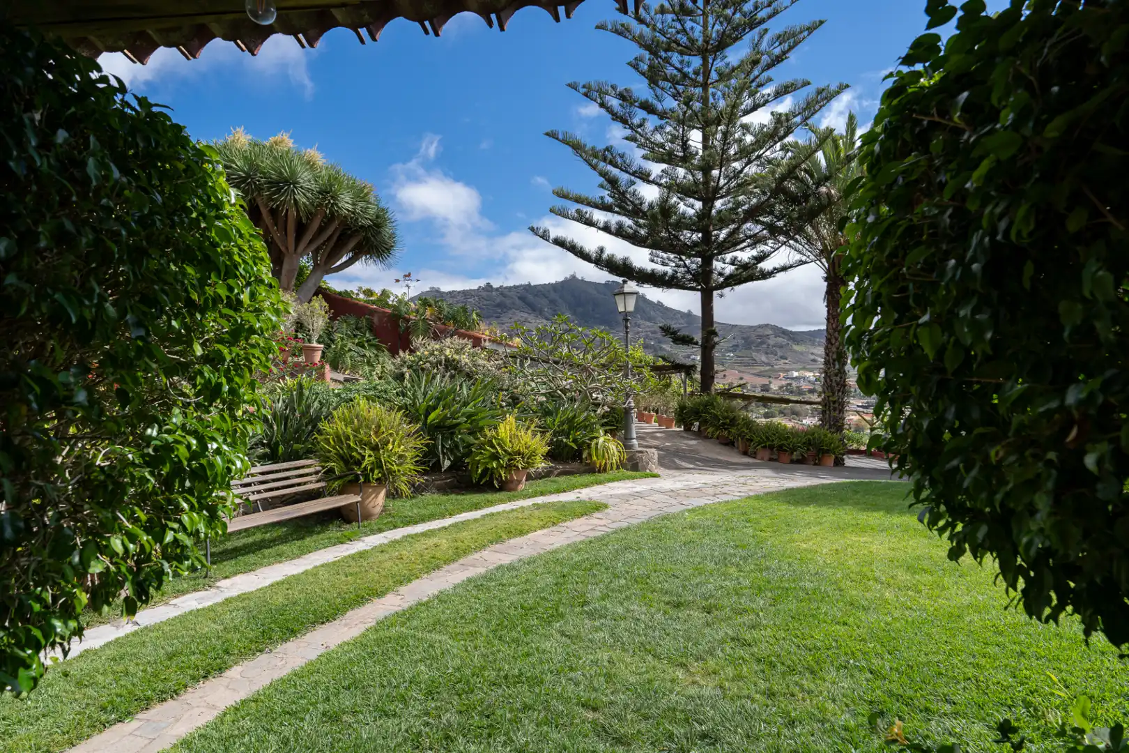 Jardín de Casa o chalet de alquiler en Tegueste con Jardín privado, Terraza y Amueblado
