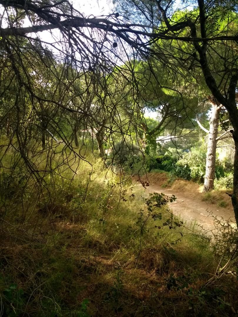 Residential for sale in Maspujols