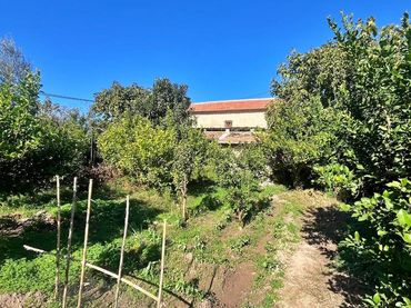 Terreno rustico in vendita a Pedanías Oeste