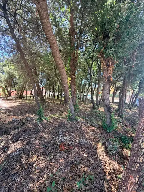Residential land for sale in Carrer Tulipa, imagen 5