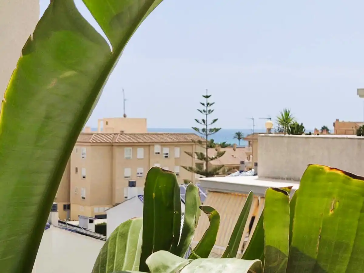 Vista exterior de Apartamento en venta en Canet d'En Berenguer con Aire acondicionado, Amueblado y Piscina comunitaria