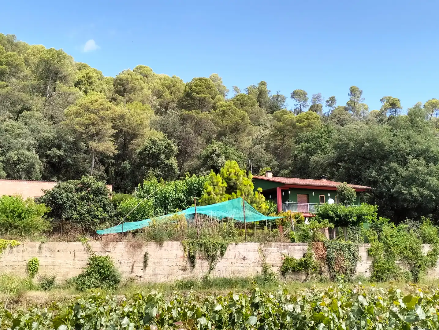 Jardí de Casa o xalet en venda en Cervià de Ter amb Jardí privat, Terrassa i Balcó