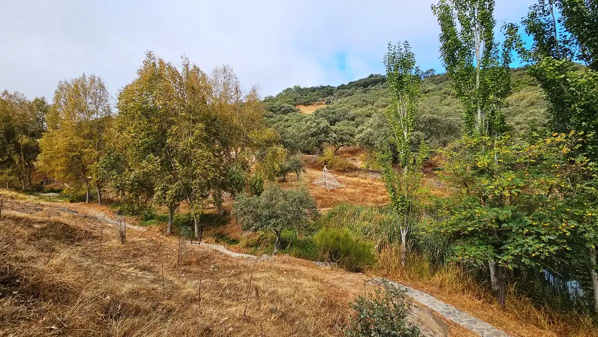 Terreno en venta en Cabeza la Vaca