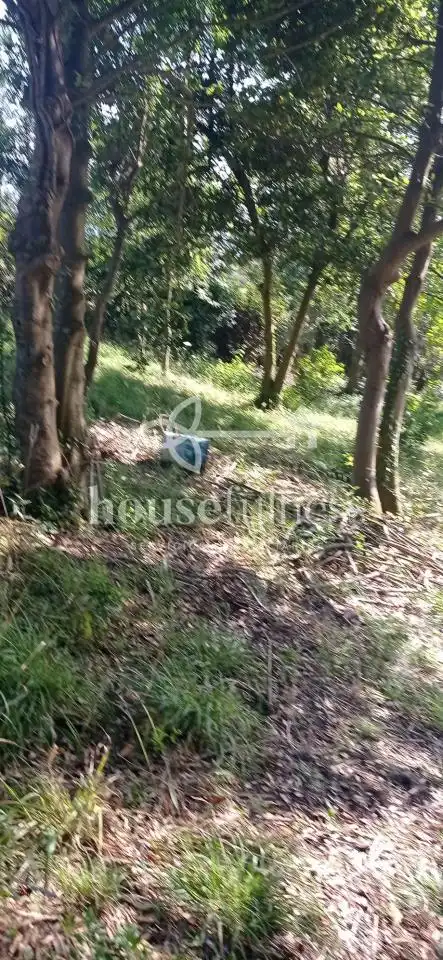 Finca rústica en venda en Ferrol amb Jardí privat, Traster i Moblat