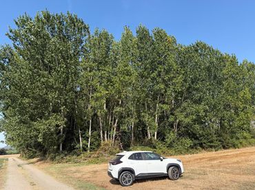 Terreni e lotti in vendita a Llagostera