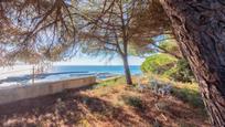 Garden of House or chalet for sale in Arenys de Mar  with Terrace and Balcony