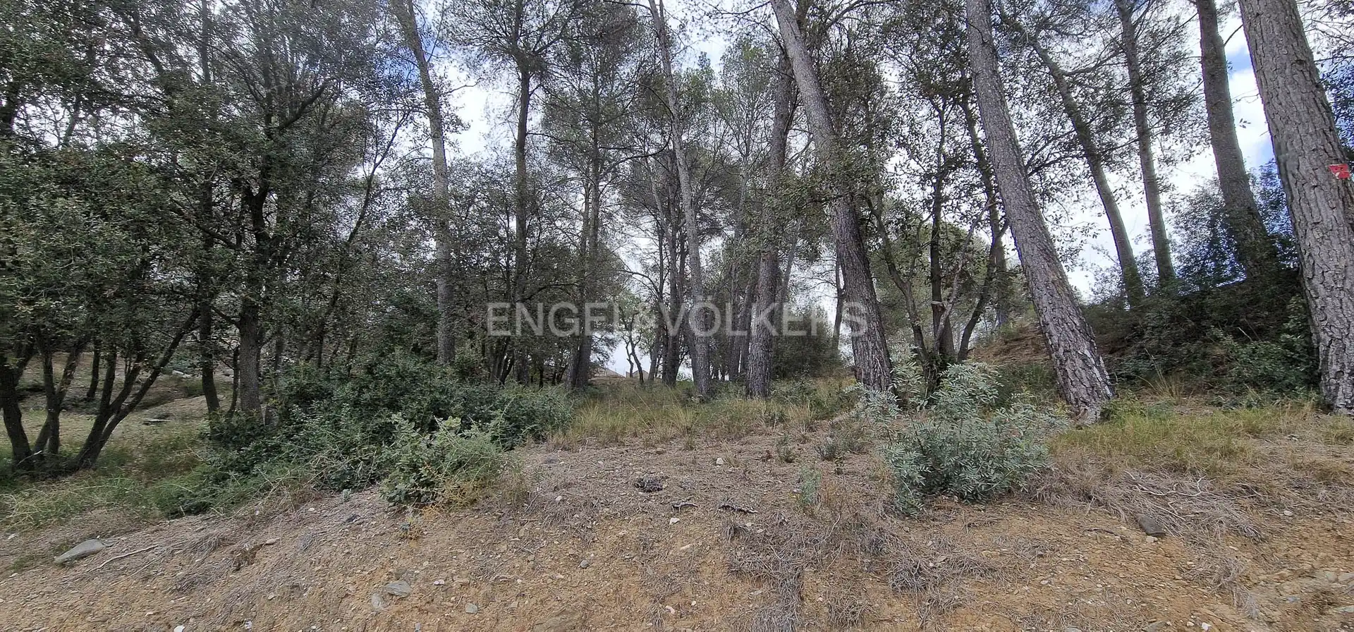 Terreny residencial en venda a Abrera, imagen 6