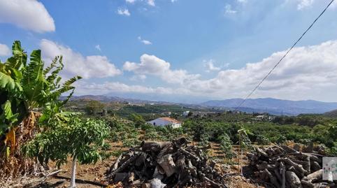 Foto 4 de Casa o chalet en venta en Benamocarra, Málaga