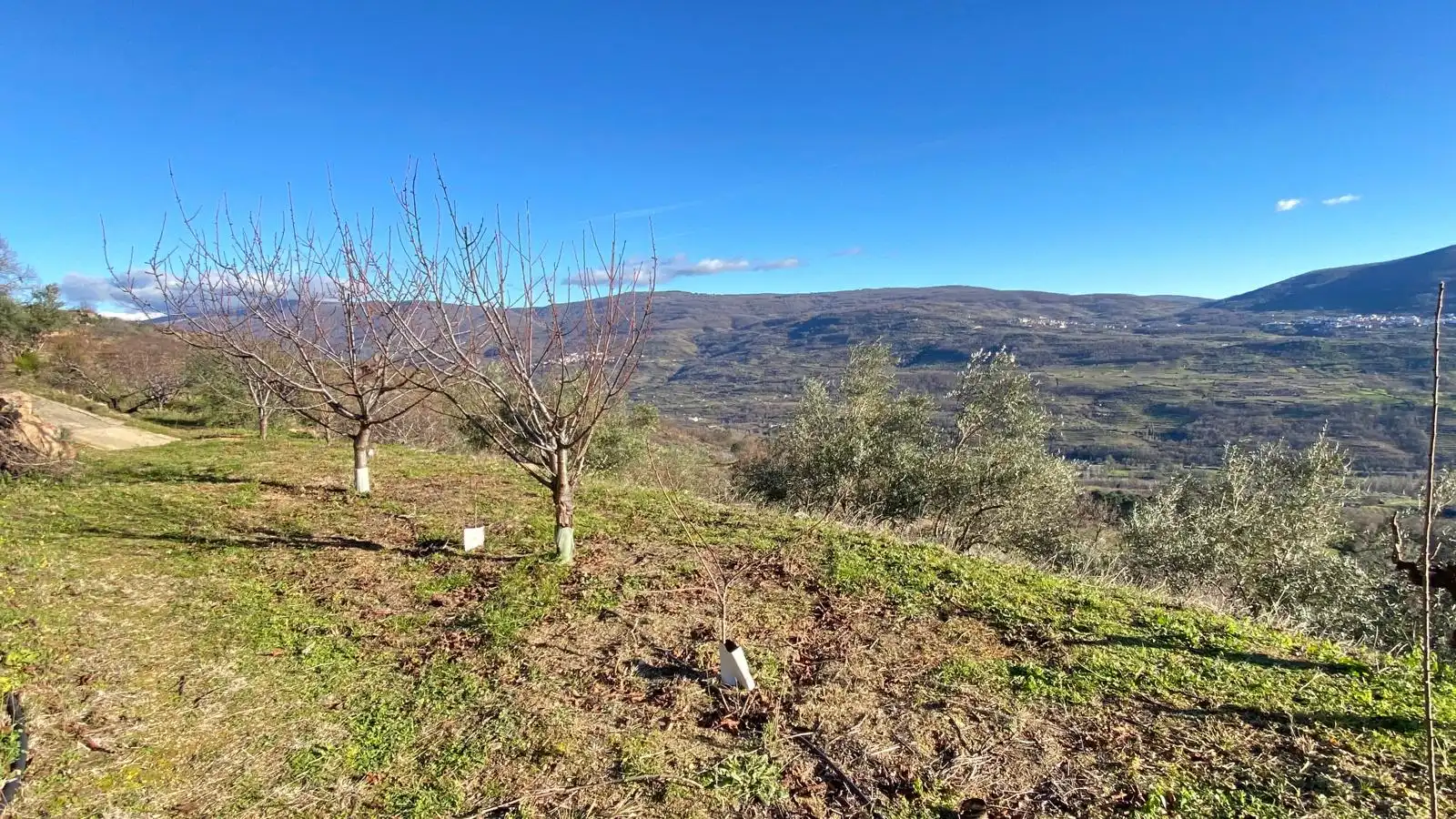 Terreni e lotti in vendita a El Torno, imagen 13