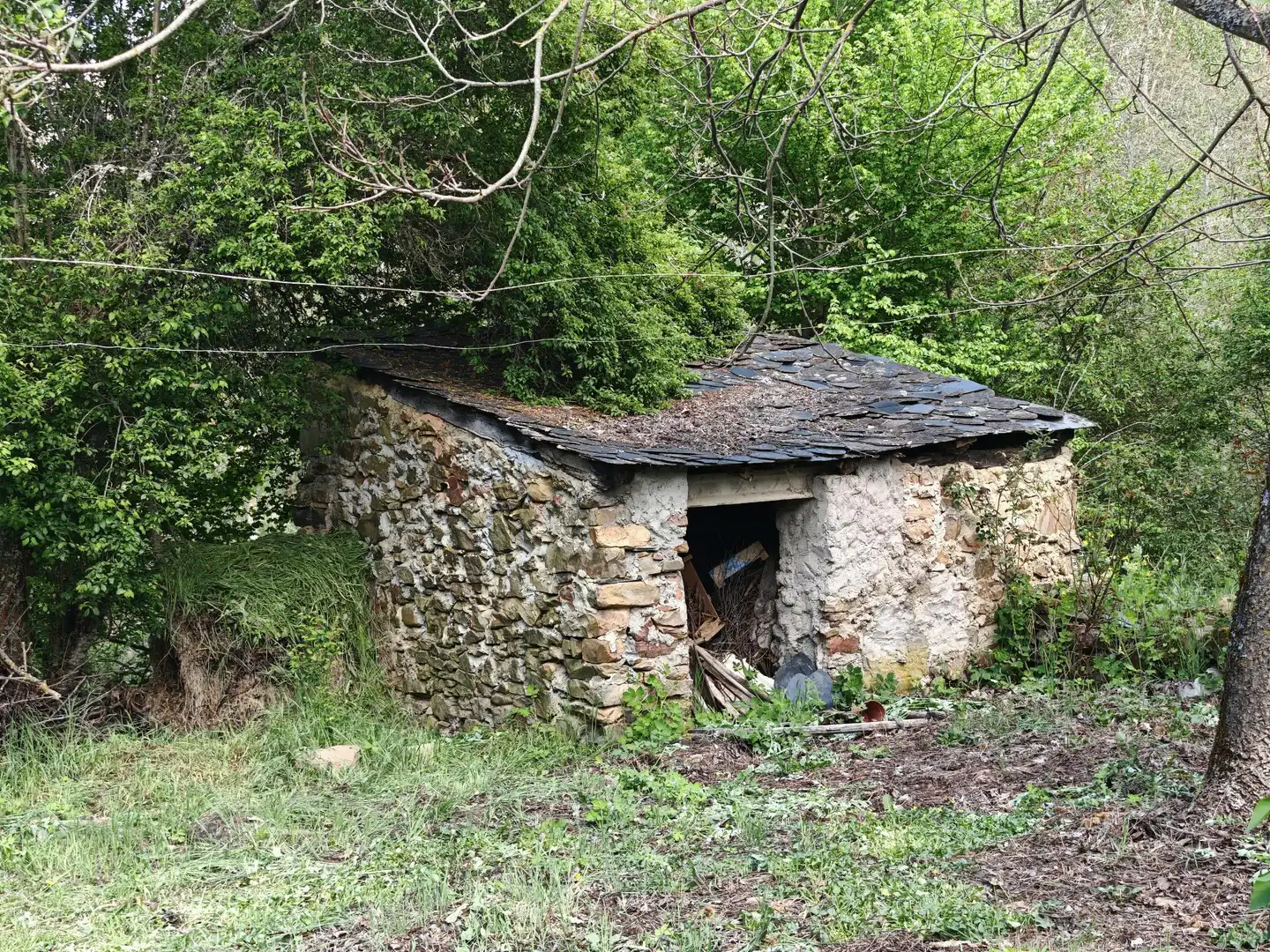 Vista exterior de Casa o chalet en venta en Magaz de Cepeda con Jardín privado y Amueblado