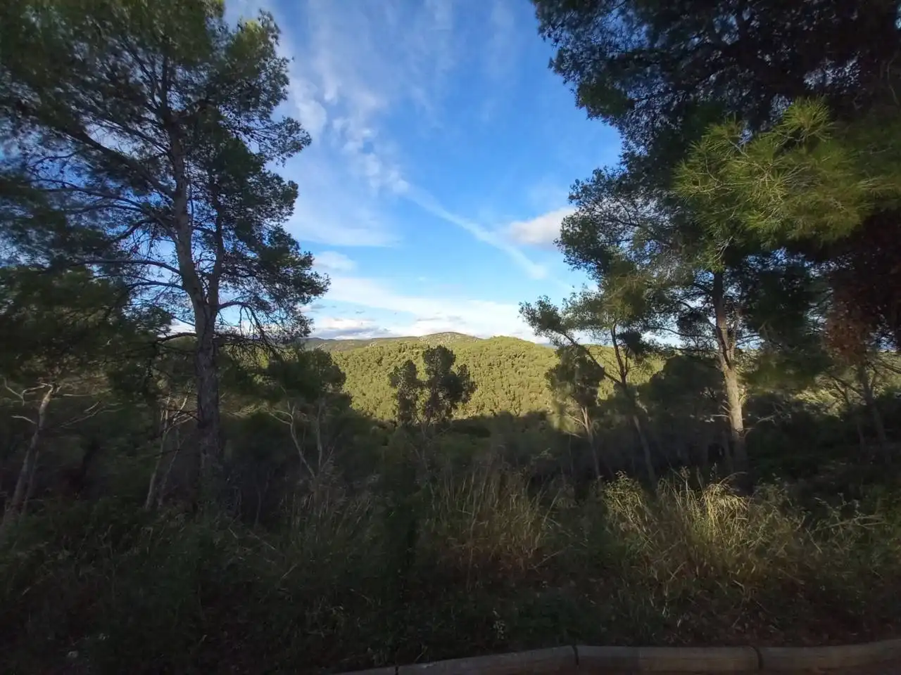 Terrain rustique à vendre à Calle joan miró 61, imagen 3