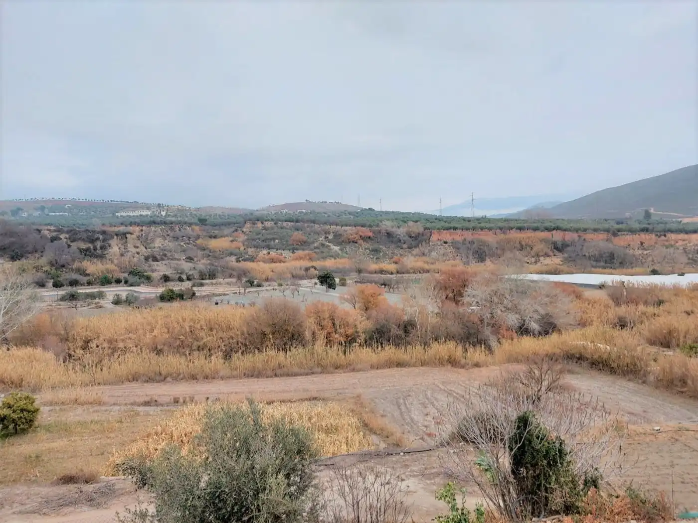 Casa o chalet en venta en Ugíjar