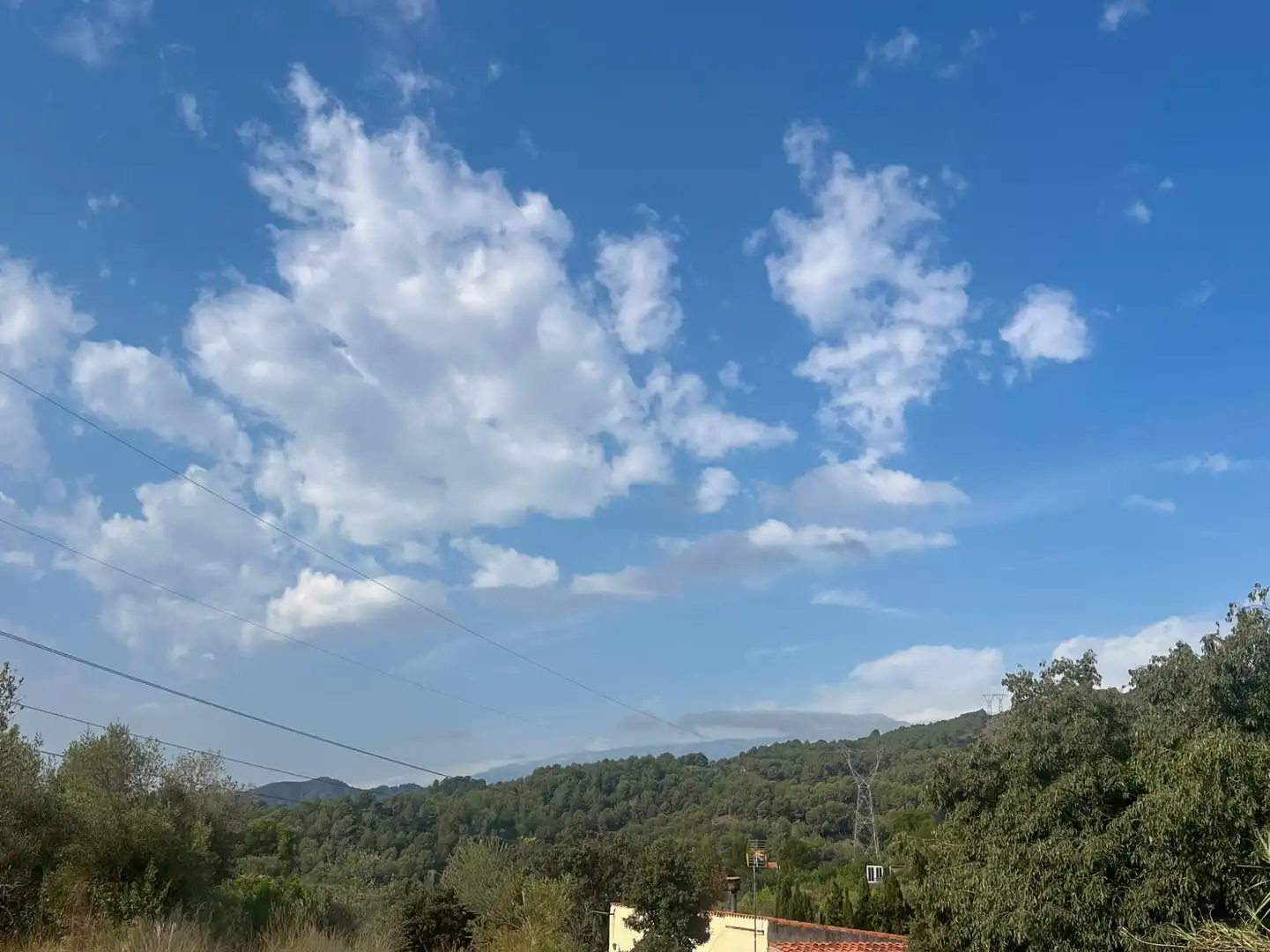 Vista exterior de Finca rústica en venda en Les Borges del Camp amb Jardí privat, Traster i Piscina