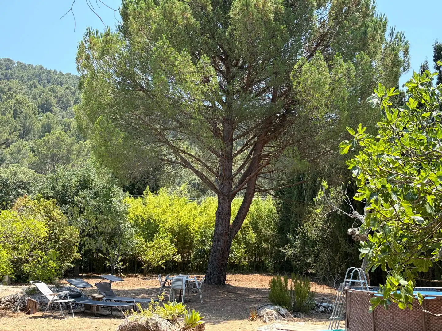 Jardí de Finca rústica en venda en Campanet amb Aire condicionat, Calefacció i Jardí privat