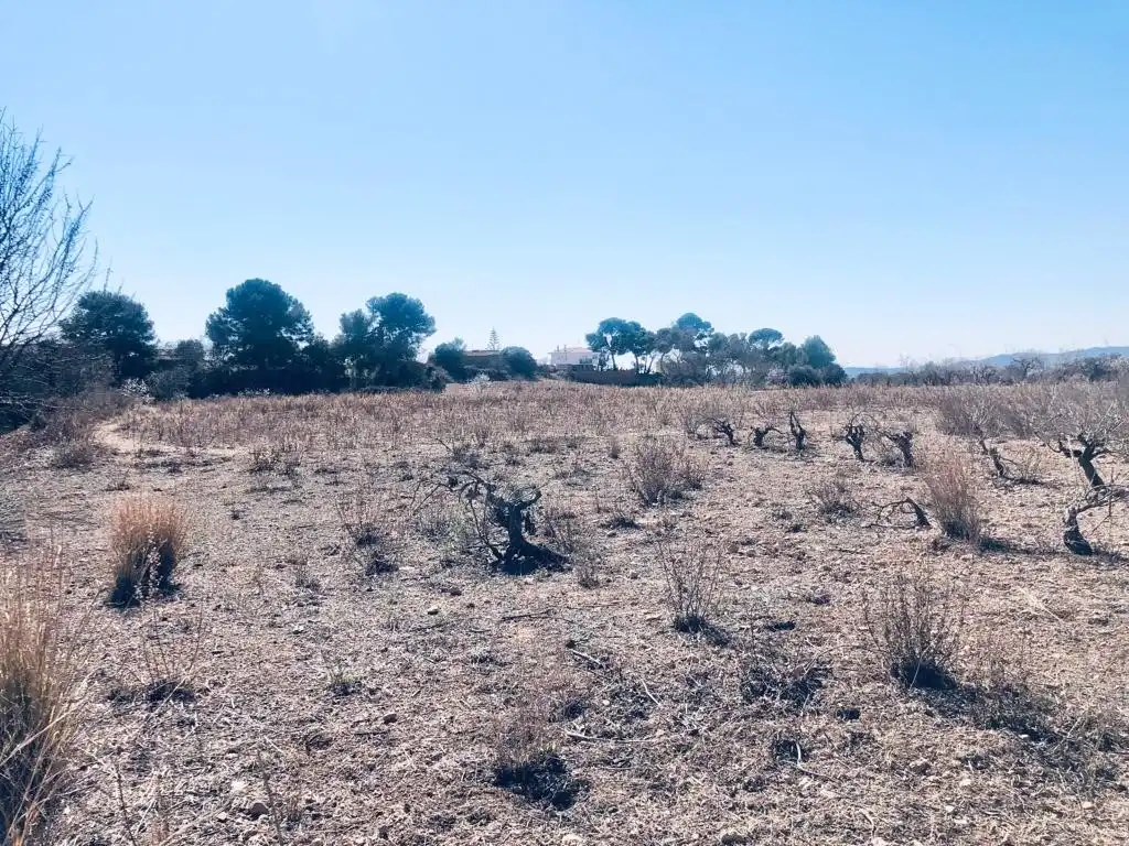 Residential for sale in Sant Jaume dels Domenys